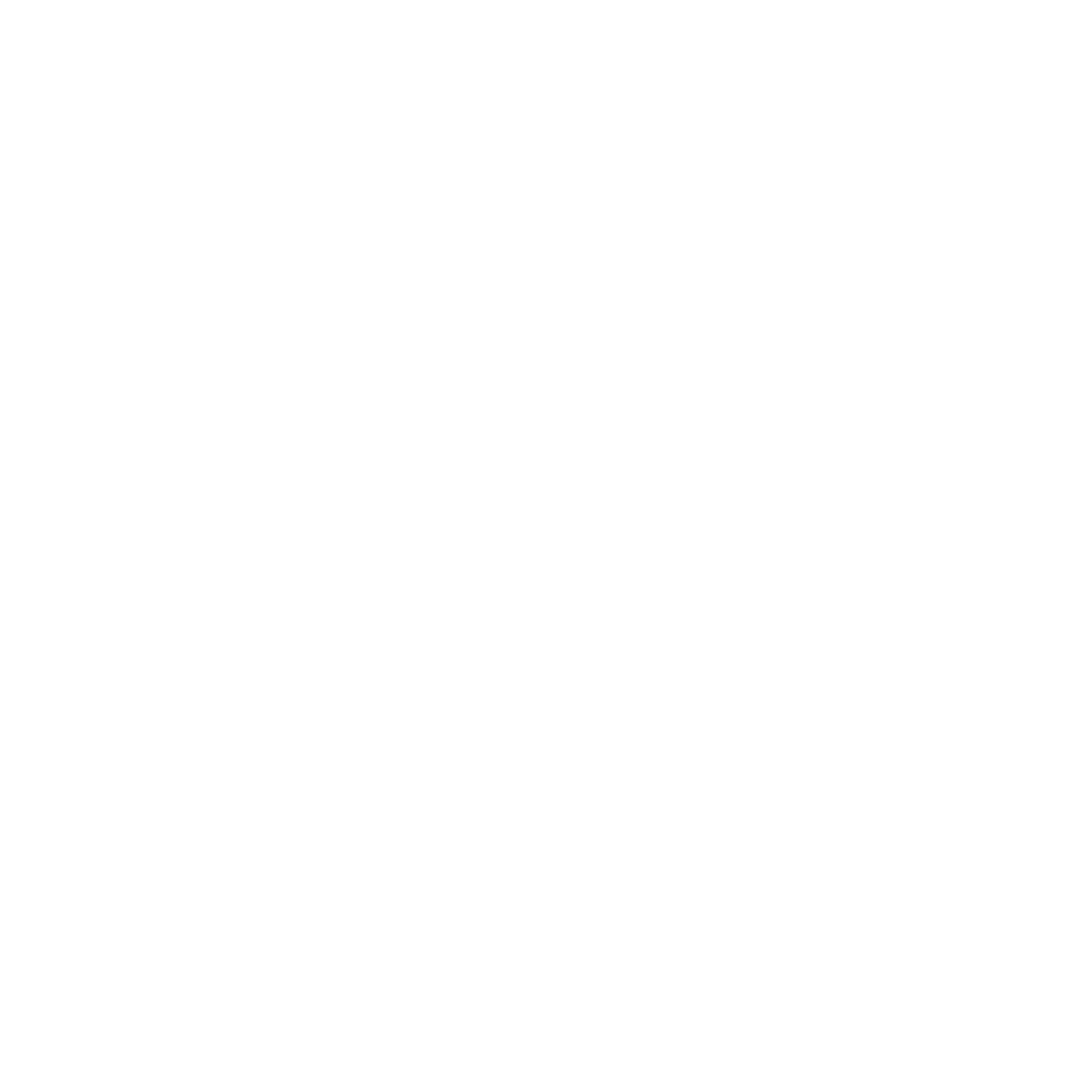Chabad of Miami Logo
